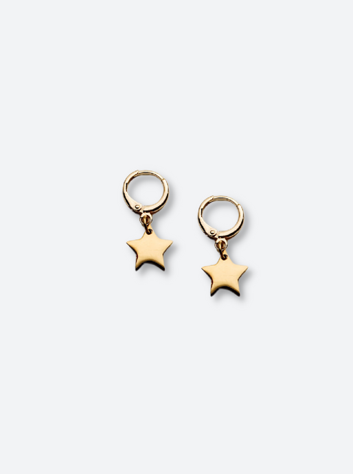 18k gold plated star stud earrings salty threads